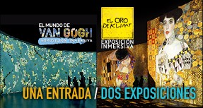 Entrada VIP
